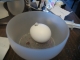 Egg with secret