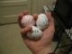 All three eggs.