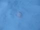 One Little Egg