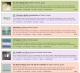 tasks.tiff