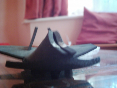 An alternate view