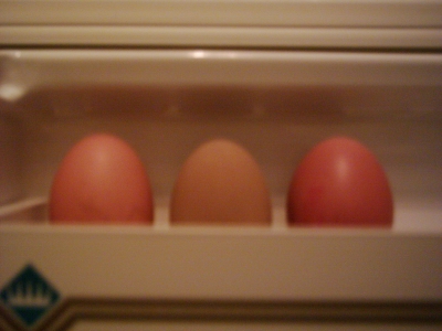 Eggs