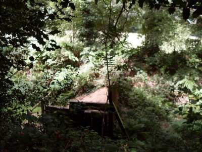 Reconnaissance Trip - July 2008