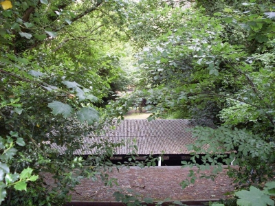 Reconnaissance Trip - July 2008