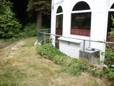 SDC10083.JPG