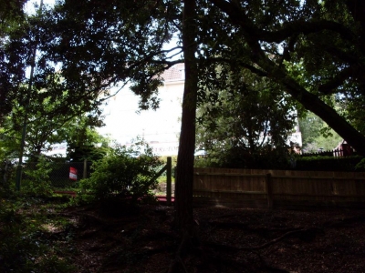 SDC10085.JPG