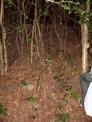 Getting out is harder...