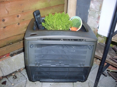 Pot, with added plant