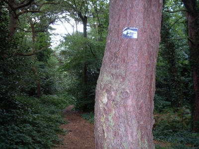 The second knitted gun...