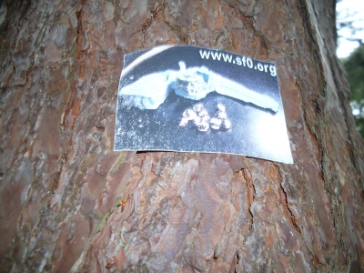 These labels were actually surprisingly weather-resistant