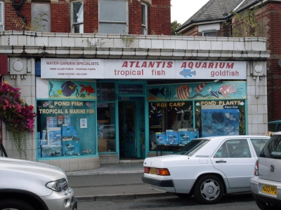 Fish shop Fish shop