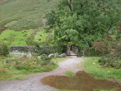 Puddle Puddle