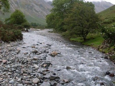 River River