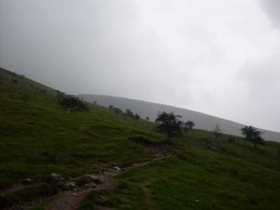 Rain Rain