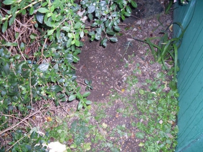 Final package location Final package location