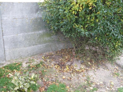 Package 1 location Package 1 location