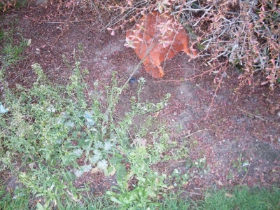 Package 2 location Package 2 location