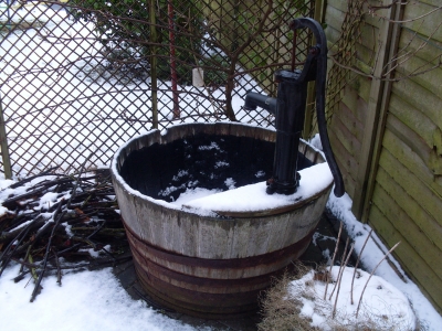 Snow in the garden...