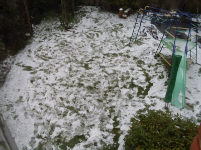 The garden after we'd finished