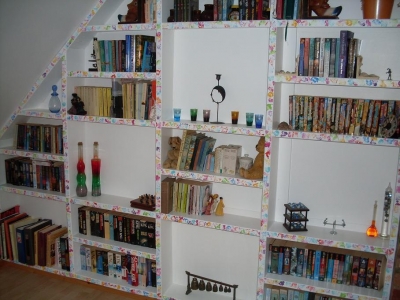 Bookshelf in the loft