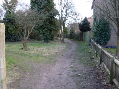 A path into Kings Park