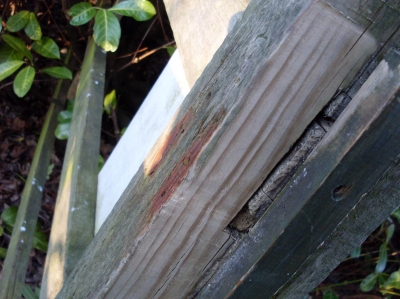 More great security from JPMorgan