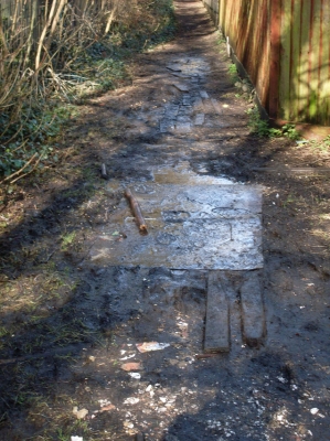 Muddy path