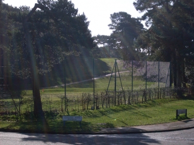 The corner of Queen's Park