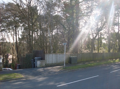 Another square of woodland