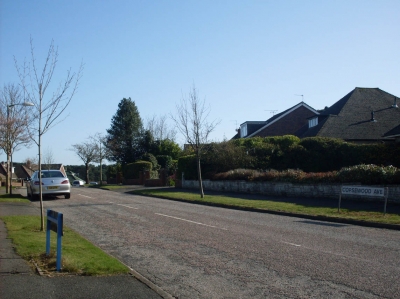 Copsewood Avenue