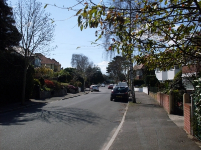Cecil Avenue