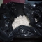 Polystyrene