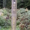 Signpost in the new forest