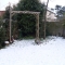 Snow in the garden...