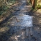 Muddy path