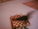 Blur
