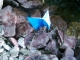 Wreckage 2