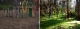 The sacred former site of Doorhenge