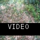 Video 4