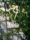 DSCI0069.JPG