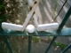 Gate close-up