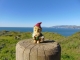 Norman's first encounter with the Pacific