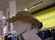 SDC10076.JPG