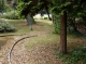 SDC10084.JPG