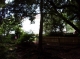 SDC10085.JPG