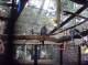 More birds More birds