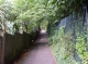 Pathway Pathway
