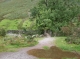 Puddle