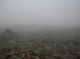 The mist thickens