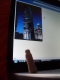 Pisa